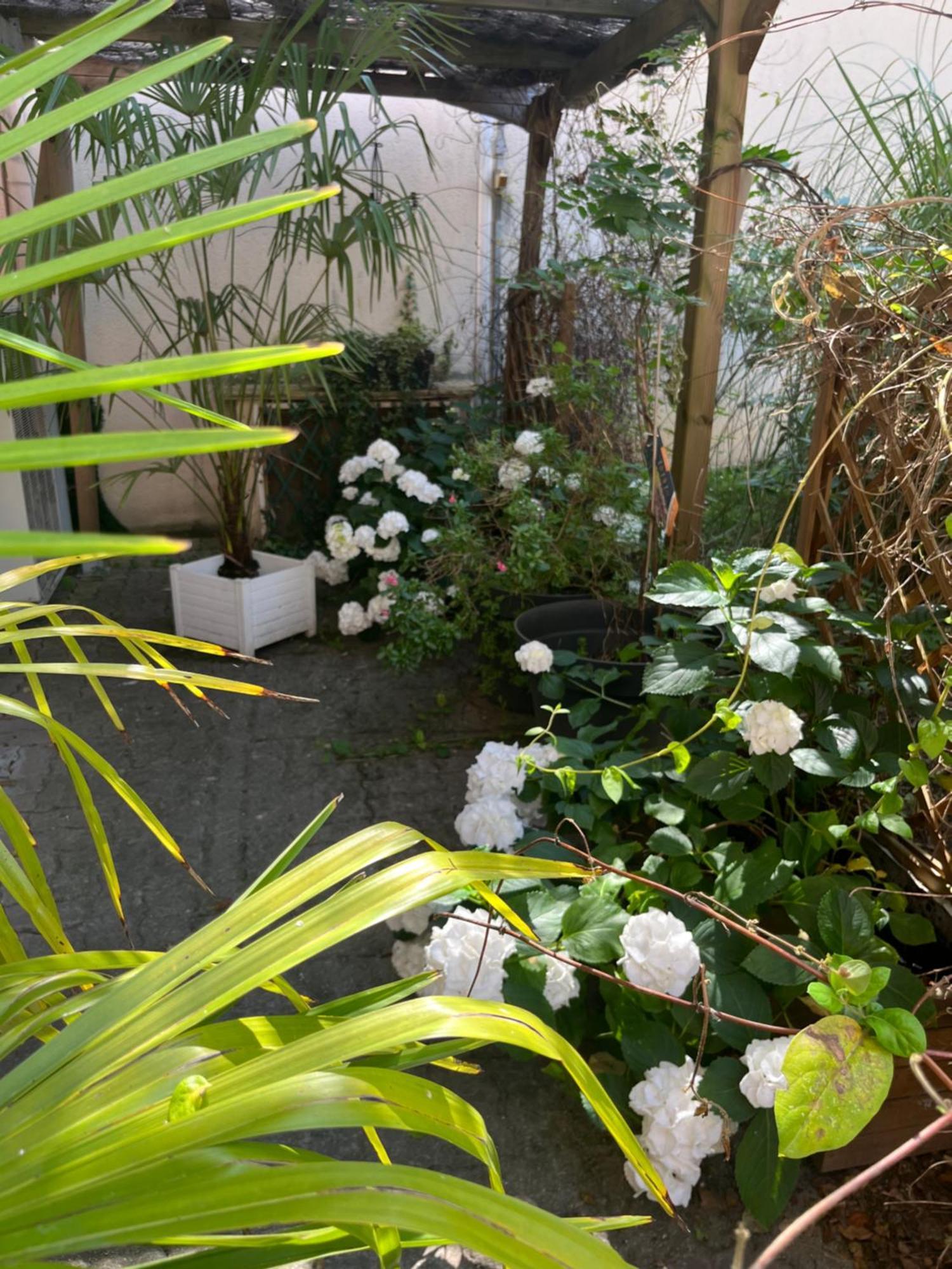 La Dolce Vita A Épernay Extérieur photo